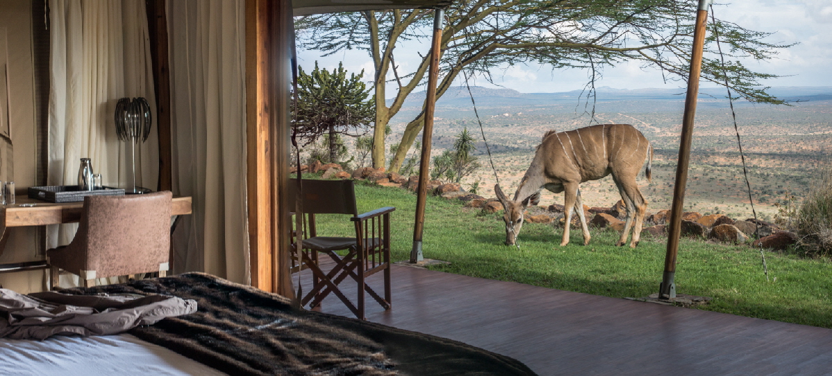 Zelt mit Kudu  