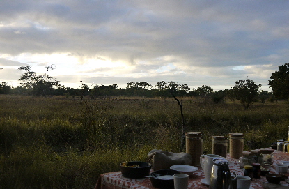 Safari zu Fuss mit African Queen Safaris