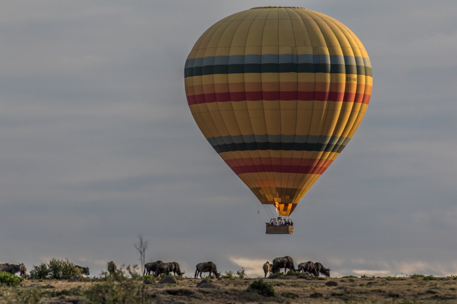 Ballon masai Mara