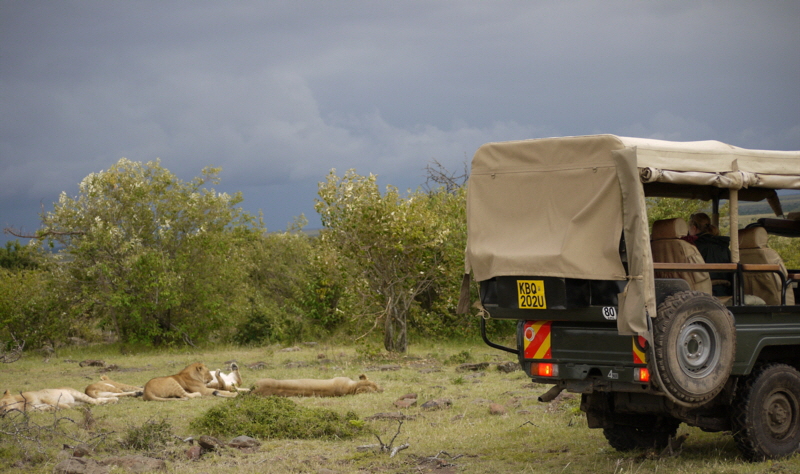 Naboisho Camp , Masai mara privates Naboisho Schutzgebiet