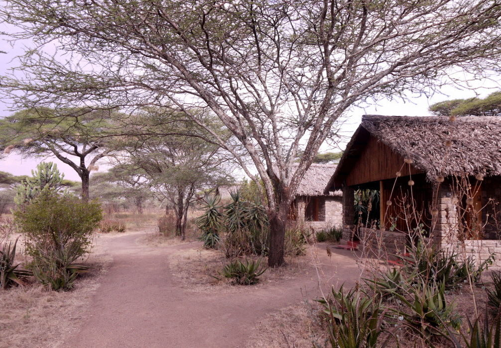 Ndutu Lodge