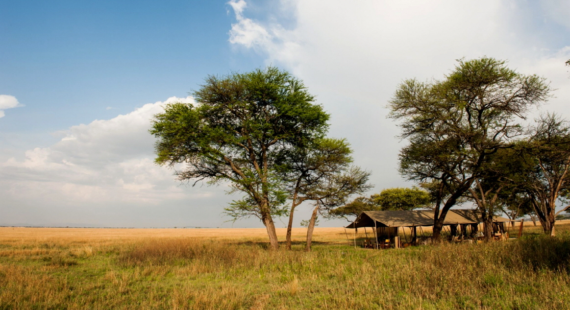 Serengeti Safari Camp 