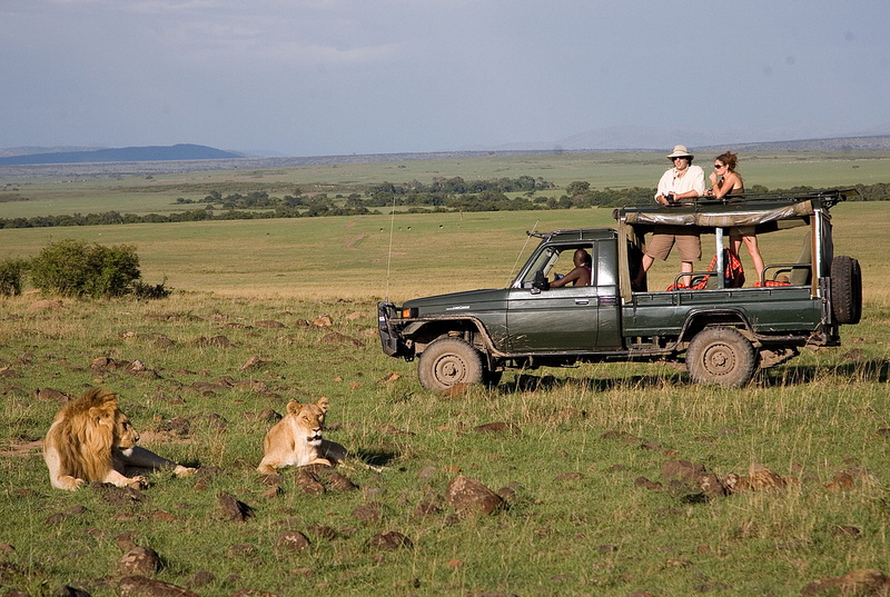 Gamedrive  in mara North 