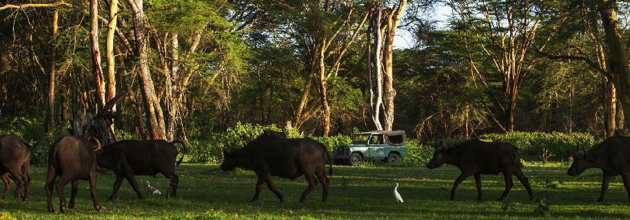 Kenia Safari  Oleraihouse Naivasha See