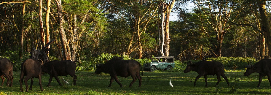 Kenia Safari Oleraihouse Naivasha See Kenia Safari Oleraihouse Naivasha See