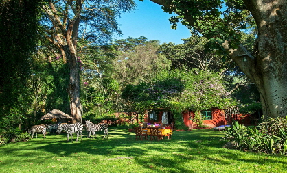 Oleraihouse Kenia Safarilodge