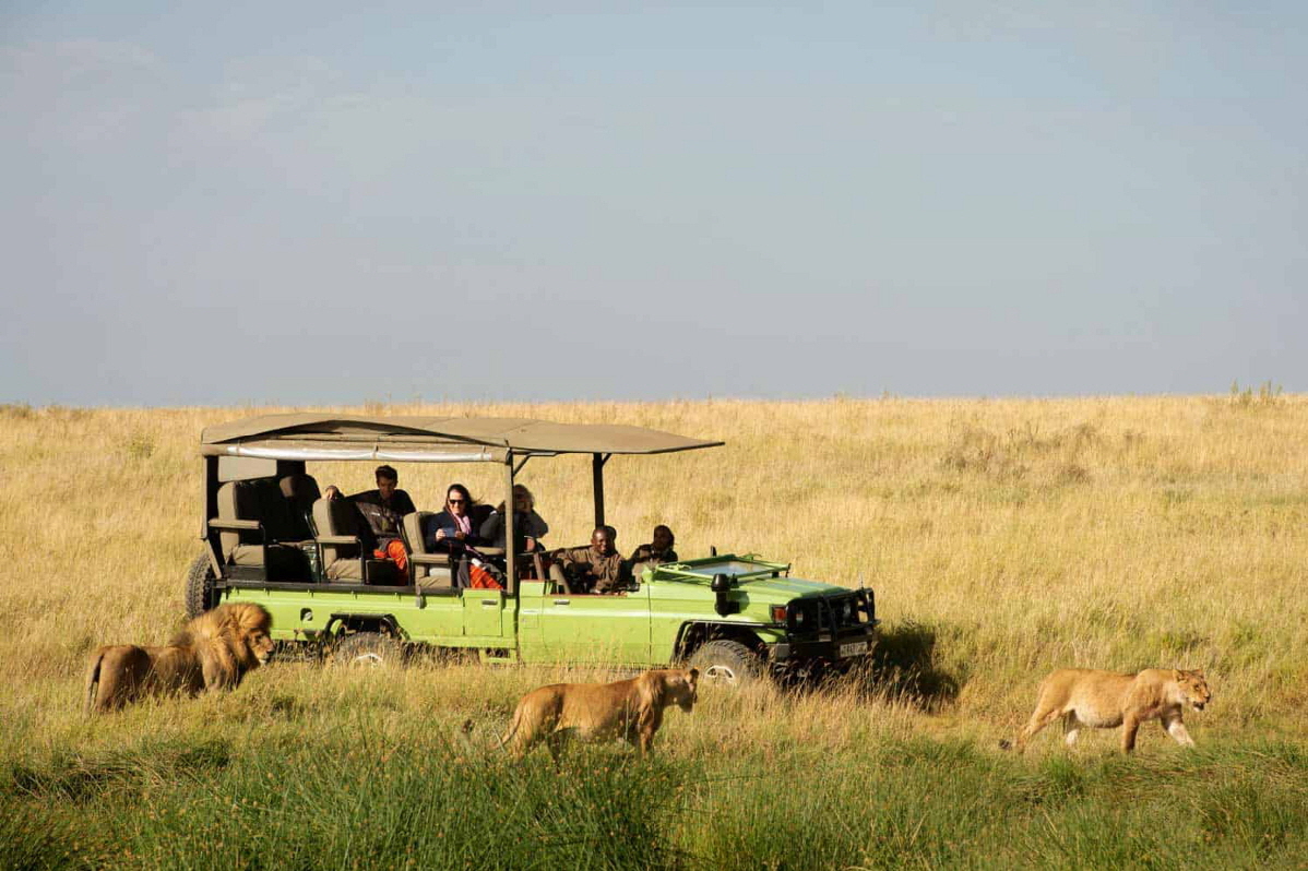 Ol Mara Camp 