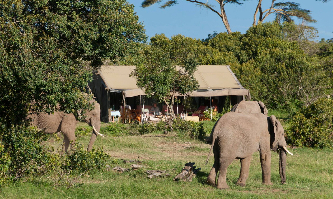Ol Pejeta Bush Camp Kenia 
