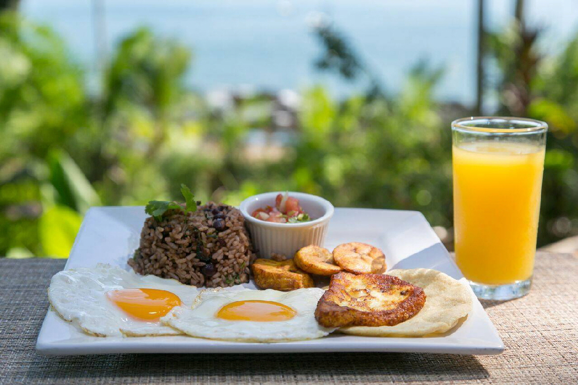 Osa Halbinsel  Copa de Arbol Frhstck auf Tico Art 