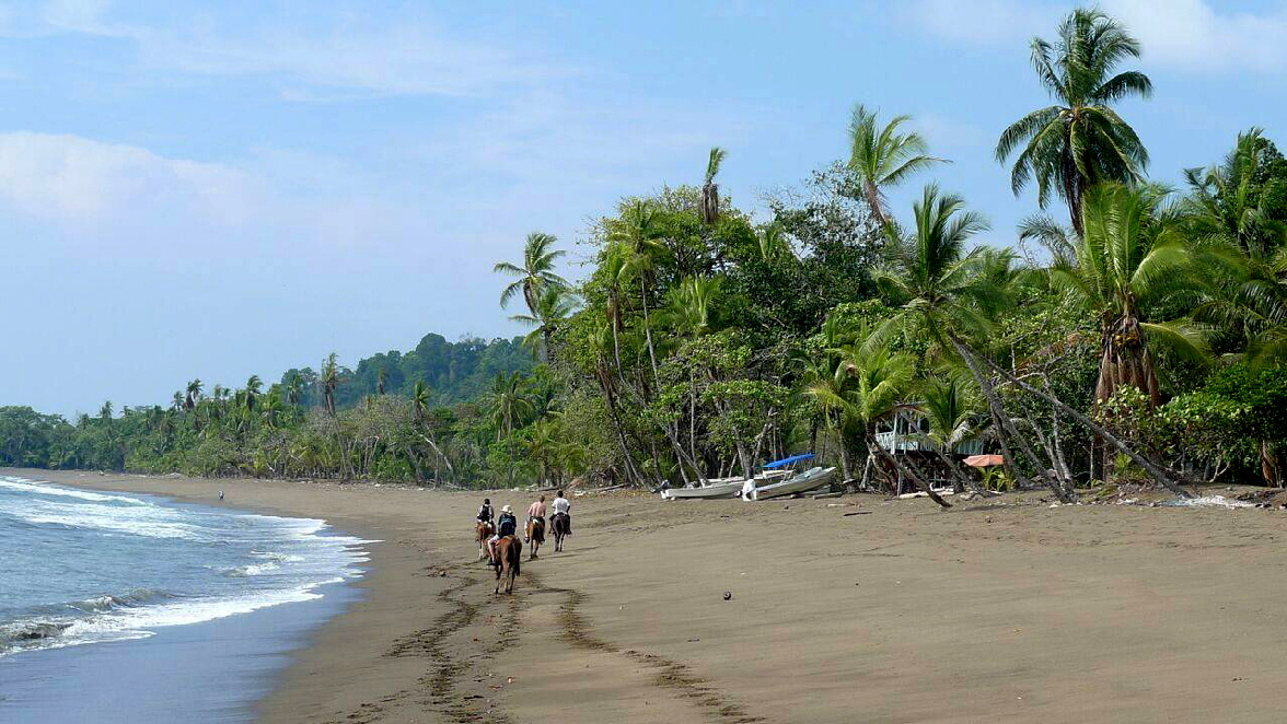 Copa de Arbol Corvovado Drake bay