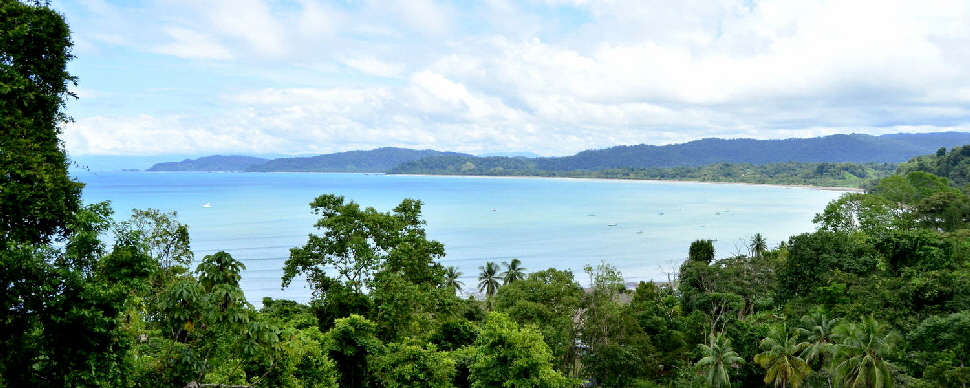 osa-copa-de-arbol-costa-rica-reise osa-copa-de-arbol-costa-rica-reise