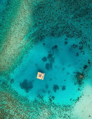 pemba-underwater