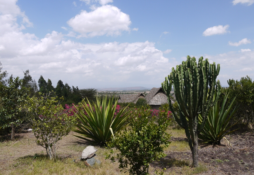 Rhino Watch Lodge 