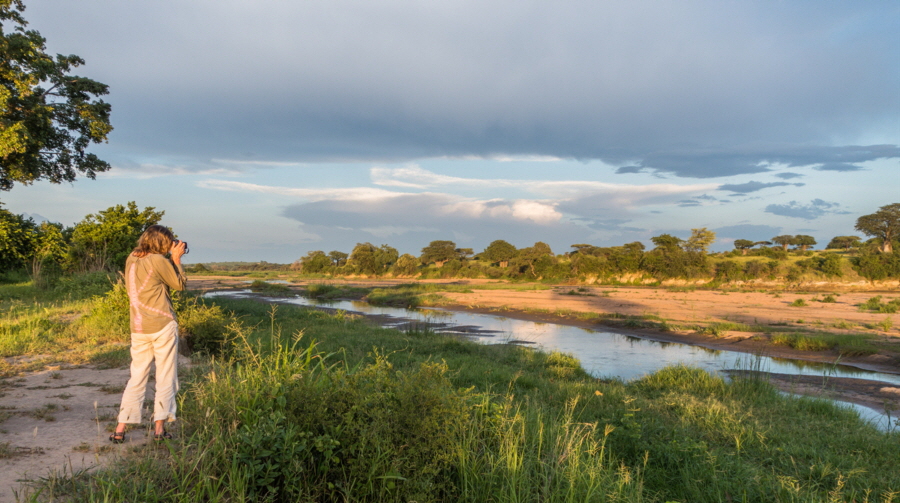 Kigelia Camp Ruaha der Fluss