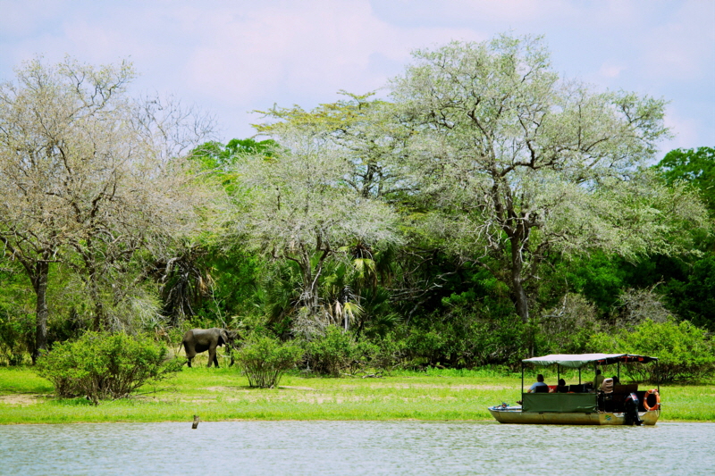 Rufiji River Camp Selous