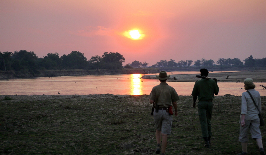 Safari zu Fuss
