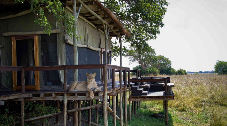 sambia-shumba-camp-kafue