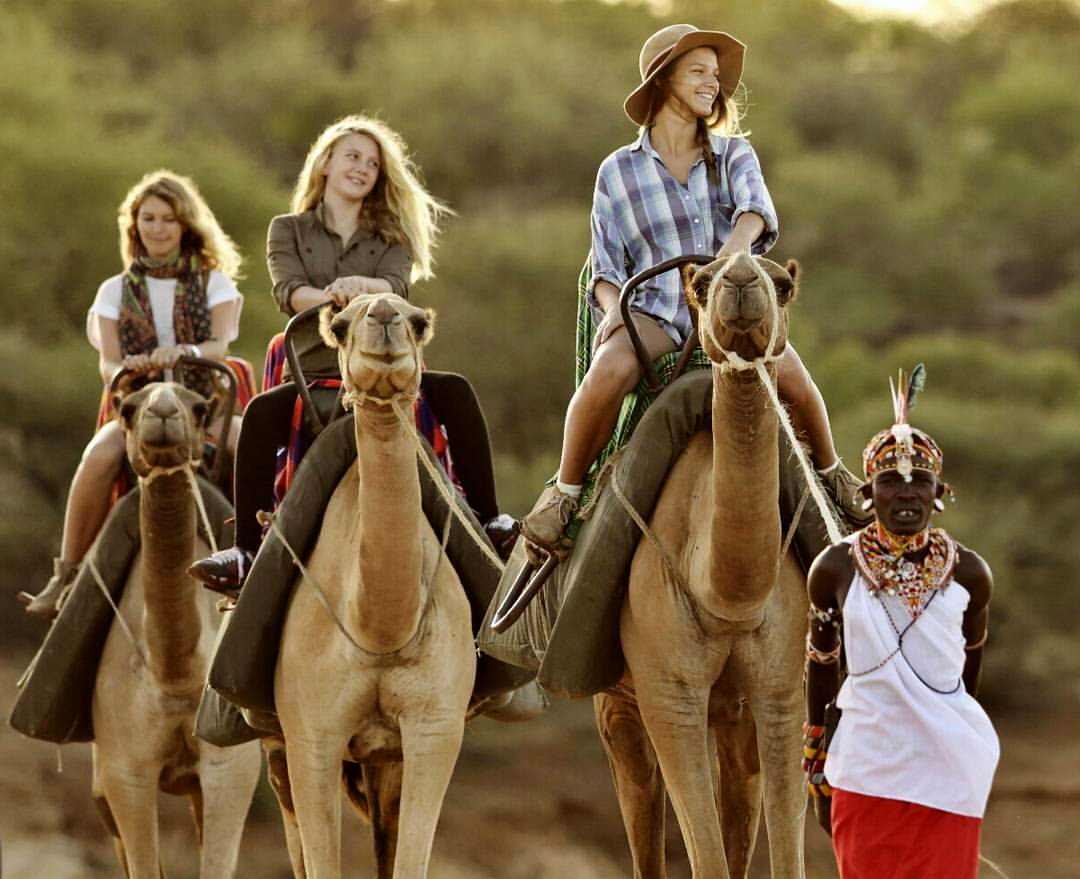 Safari mit dem Kamel