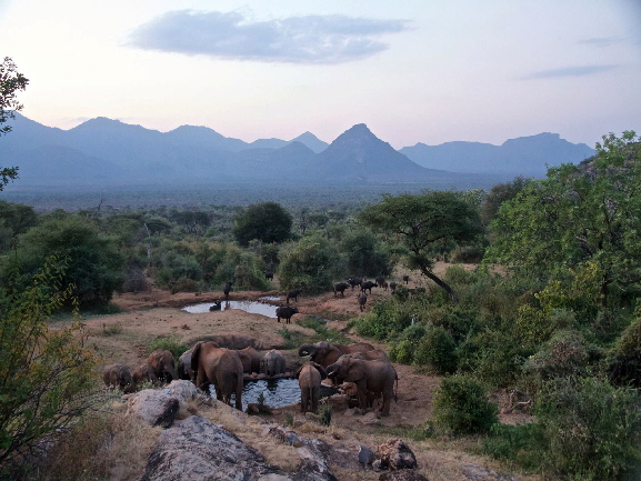 Sarara Camp Kenia