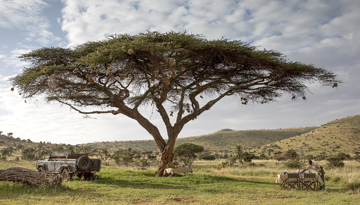 Buschfrhstck in Lewa 
