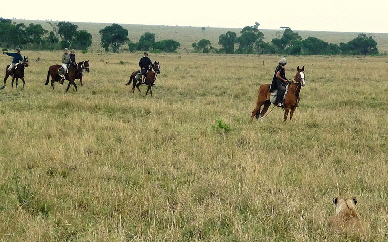 sosian reitsafari in Kenia