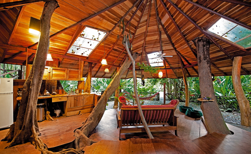 Treehouse Lodge  Karibikkste