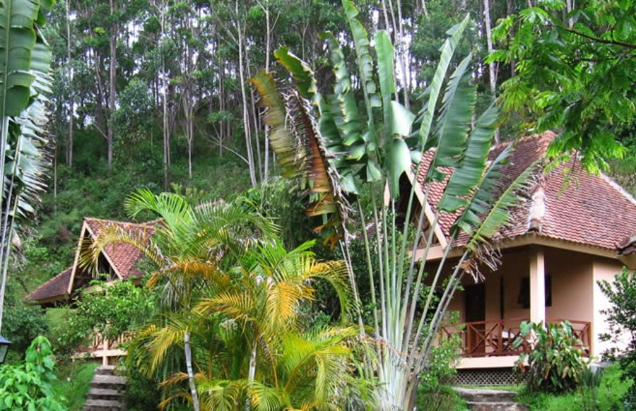 Vakoma Forest Lodge